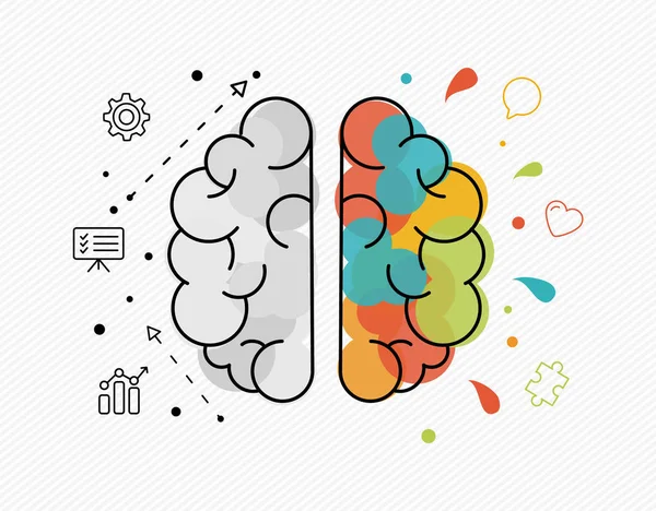 Ideias criativas e empresariais conceito de cérebro humano — Vetor de Stock