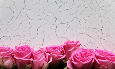 Gül dokulu arka plan üzerinde