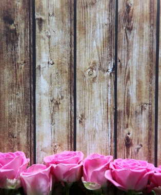 Gül ahşap arka plan üzerinde