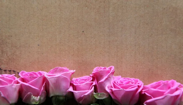 Τριαντάφυλλα σε φόντο με υφή — Φωτογραφία Αρχείου