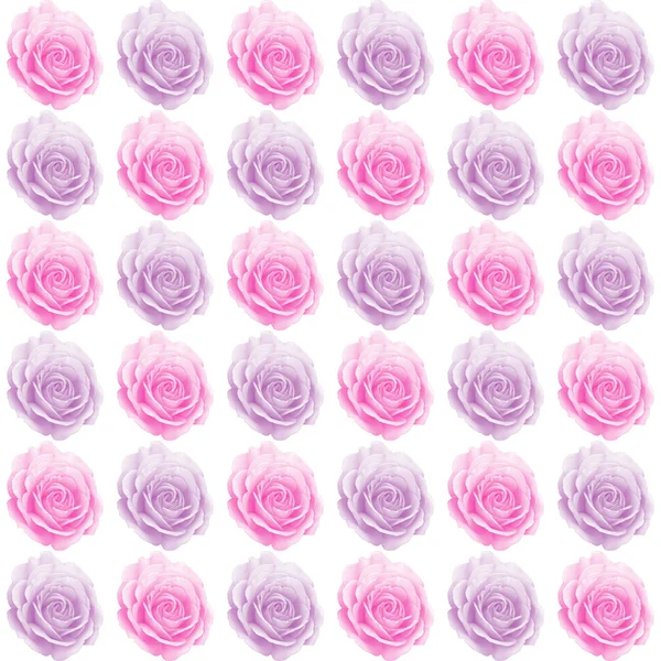 Pembe ve Mor gül çiçek Çizim