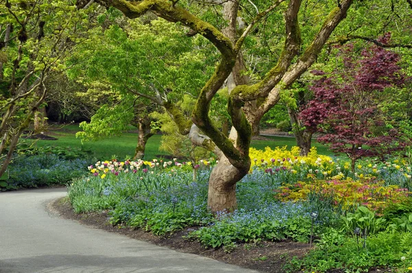 Jardín botánico de primavera — Foto de Stock