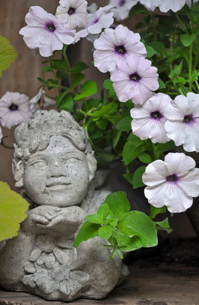 石头仙子和 petunias — 图库照片