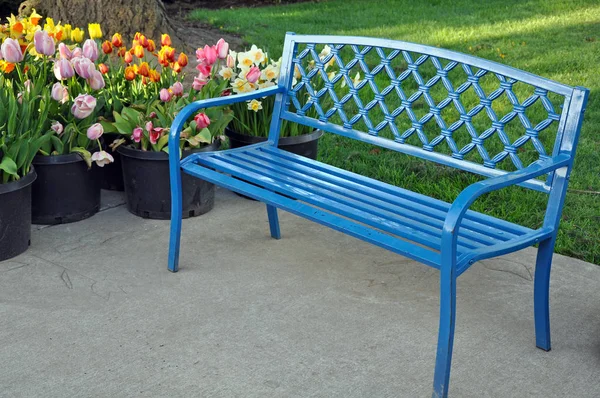 Синяя скамейка и тюльпаны — стоковое фото