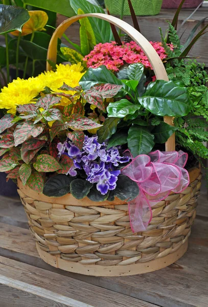 Farbenfroher Blumengeschenkkorb — Stockfoto