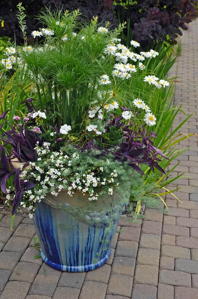 Patio flower container — Stock Photo, Image