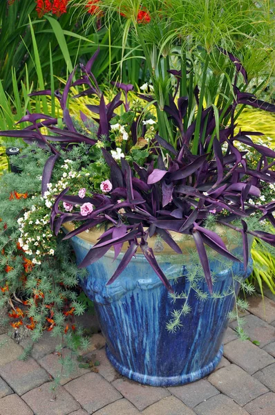 Vaso de plantas azul — Fotografia de Stock