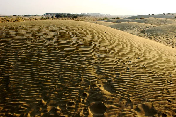 Golvenpatroon op zand-duin — Stockfoto
