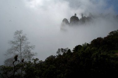 Manzara, Kodaikanal sis kaplı