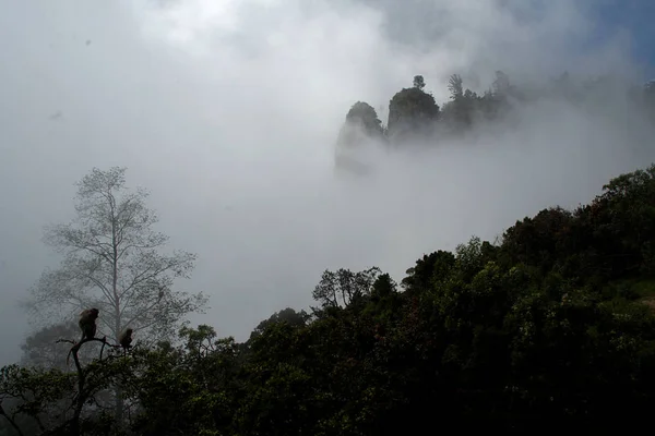 霧覆われた風景、コダイカナル — ストック写真