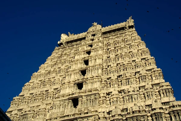 Temple башта, Tiruvannamalai — стокове фото