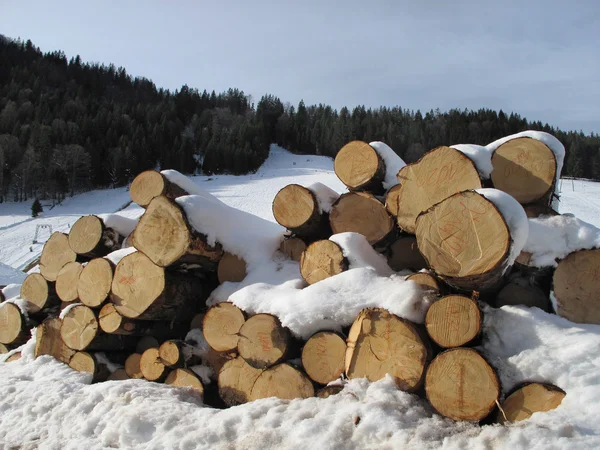 Стопка дров под снегом — стоковое фото