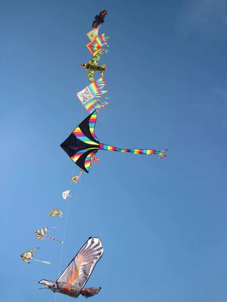 Papagaios no céu — Fotografia de Stock