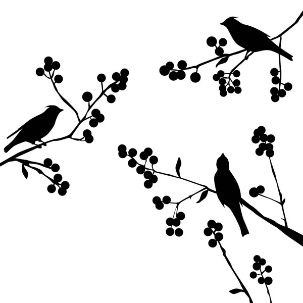 Aves en la rama - conjunto de elementos vectoriales — Vector de stock