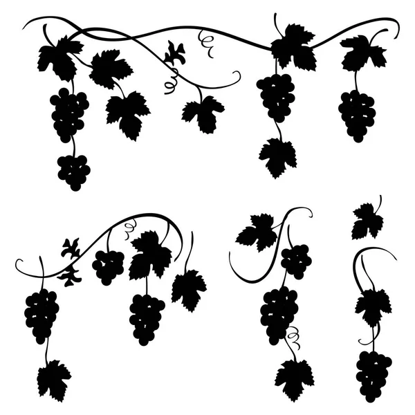 Гроздь винограда - набор немногих декоративных элементов для дизайнеров , — стоковый вектор