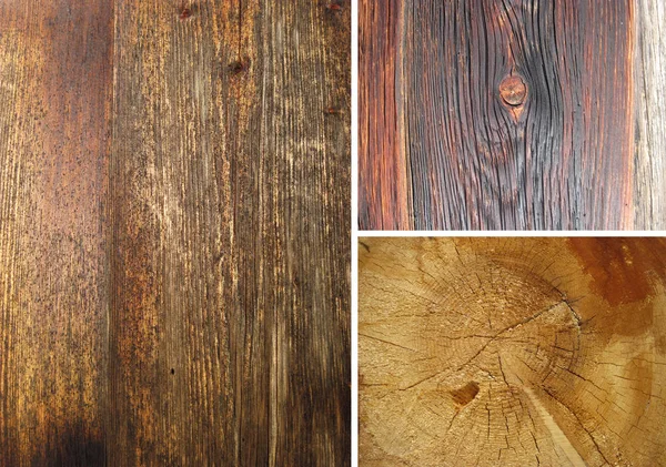 木のテクスチャのセット — ストック写真