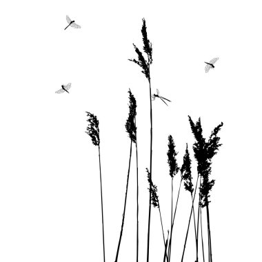 Dragonflies in flight - vector illustration clipart