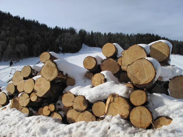 Stack of firewood — Stock Photo, Image