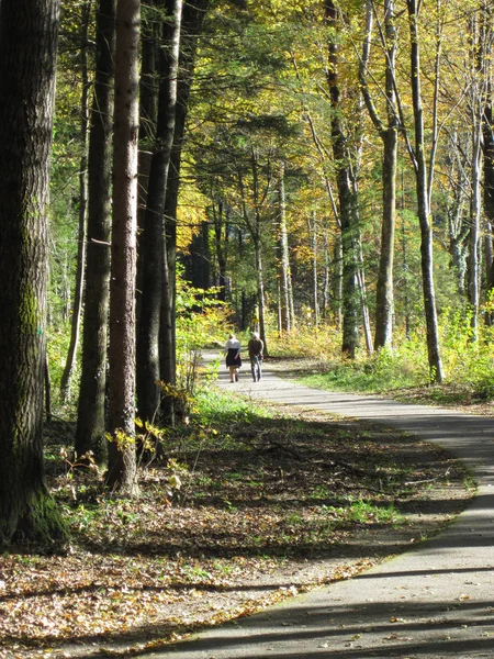 Old people walking in the park — Stock Photo, Image