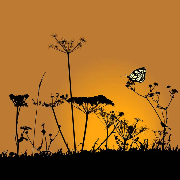 Zwart Wit Planten Silhouetten Collectie Voor Ontwerpers Vliegende Vlinder — Stockvector