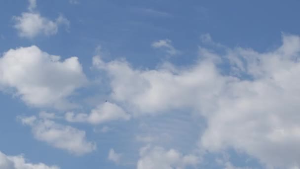 Временные облака катятся. Синее небо с облаками крупным планом — стоковое видео