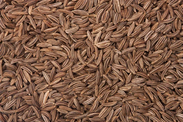 Superficie cubierta con semillas de comino como composición de textura de fondo — Foto de Stock