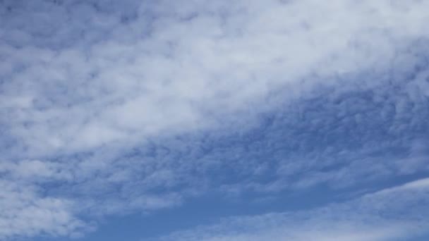 Временной зажим белых пушистых облаков над голубым небом — стоковое видео