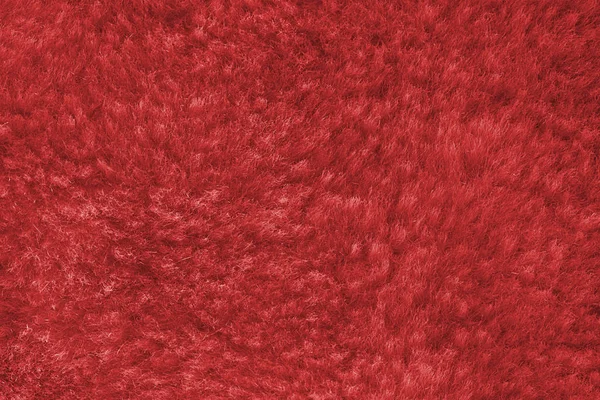 Peau rouge chamois d'un animal texture gros plan, texture fourrure — Photo