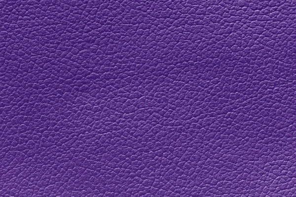 Fundo textura de couro roxo, fundo textura da pele . — Fotografia de Stock