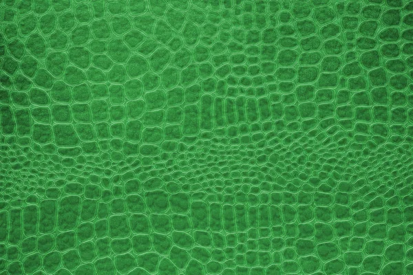 Grön orm hud textur bakgrund. — Stockfoto