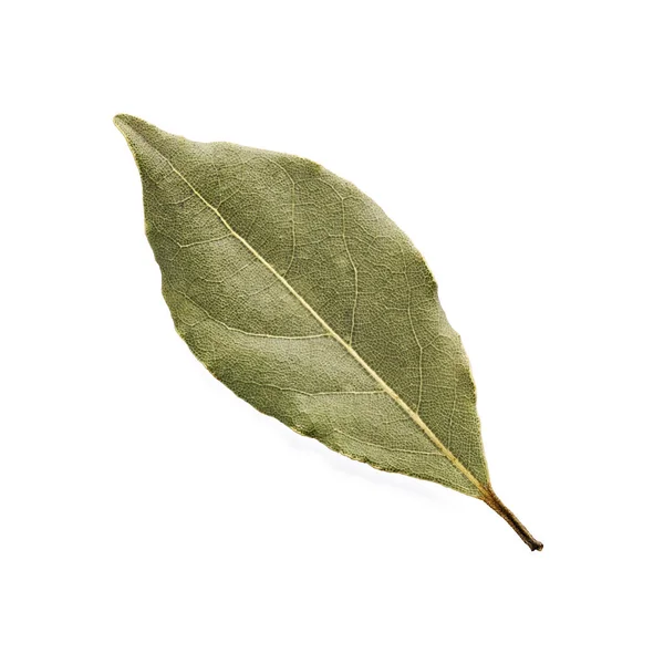 Aromatic bay leaf isolated on a white background — Stock Photo, Image