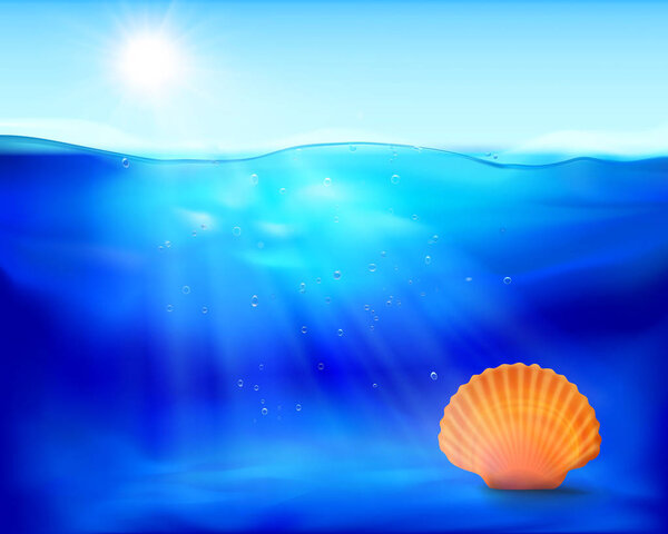 Shell in the water. Vector illustration.