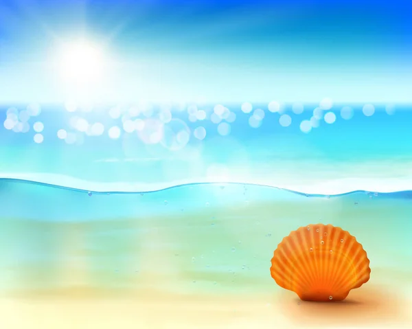 Shell in the sea. Vector illustration. — Stock Vector