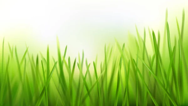 Свежая трава - природный фон. Векторная иллюстрация . — стоковый вектор