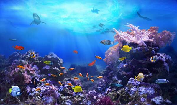 Coral reef ecosystem. Underwater sea world. Life in the ocean. Colorful tropical fish.