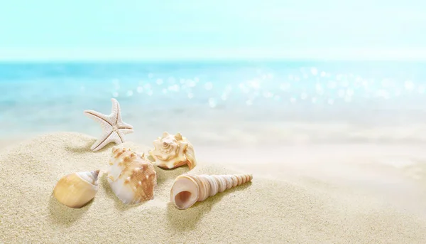 Vue Sur Plage Sable Fin Jour Été Coquilles Dans Sable — Photo