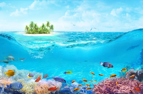 Animals of the underwater sea world. A beach on a tropical island. Colorful tropical fish. Life in the coral reef.
