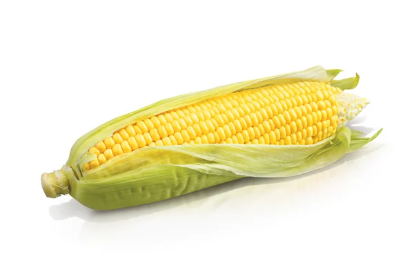 Fresh yellow corn on white background — Stock Photo, Image