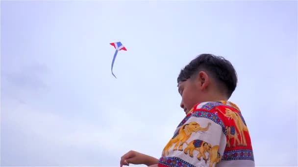 Los niños vuelan una cometa — Vídeo de stock