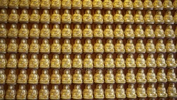 Golden buddha at wall in temple (Panning shot) — Stock Video