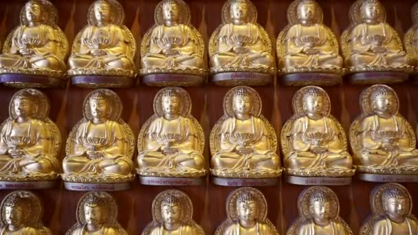 Budda d'oro al muro nel tempio (Panning shot ) — Video Stock