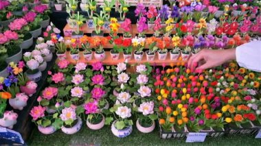 El yapımı çiçek Dükkanı piyasada satın almak