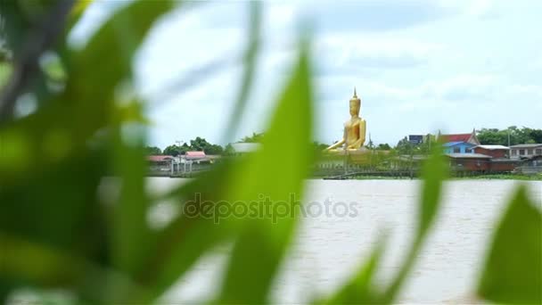 Golden buddha at Chao Phraya waterfront in Thailand — Stock Video