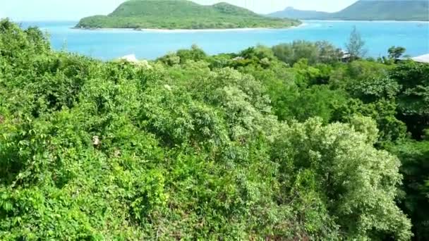 Île dans la mer à Chonburi, Thaïlande — Video
