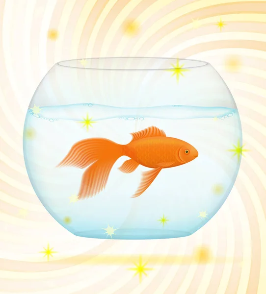 Gouden vis in een transparante aquarium vectorillustratie — Stockvector
