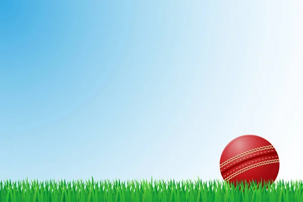 Cricket grama campo vetor ilustração — Vetor de Stock