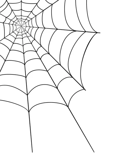 Spider web vektor stock illusztráció — Stock Vector