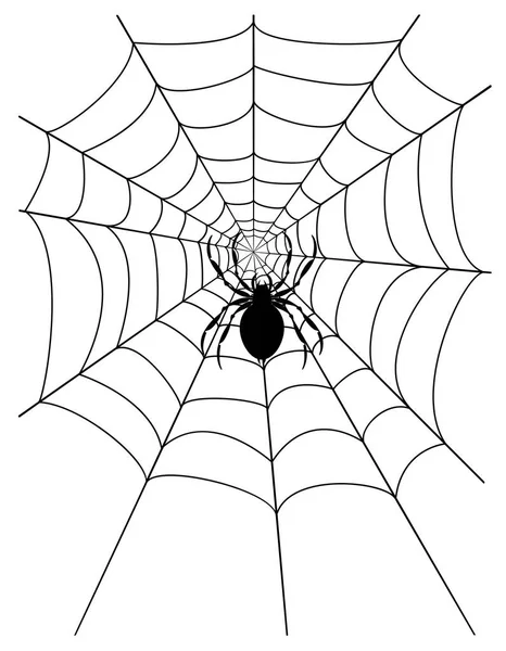 Spinnennetz Stock Vektor Illustration — Stockvektor