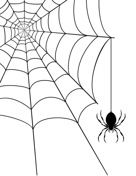 Spider web akcií vektorové ilustrace — Stockový vektor