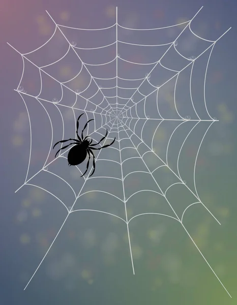 Spider Web向量示例 — 图库矢量图片